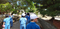 IMG_20240516_150848