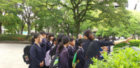 IMG_20250529_085247
