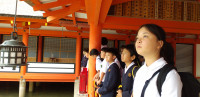 IMG_20250530_102943